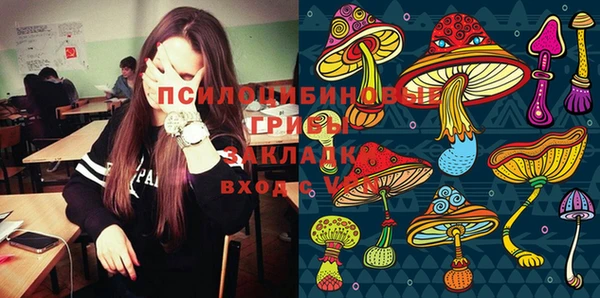 PSILOCYBIN Волоколамск