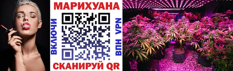 купить закладку  Весьегонск  Бошки марихуана Bruce Banner 
